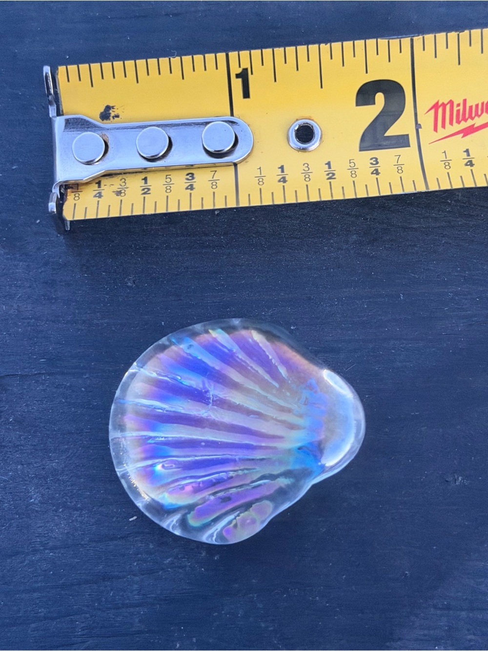 Small Iridescent Glass Shell - Picture 6 of 8